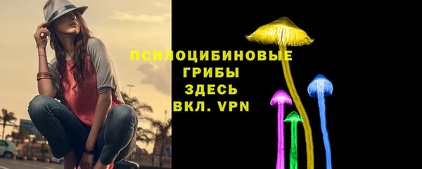 скорость Бородино