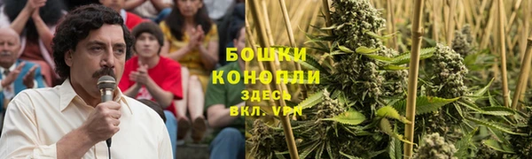 кокс Богородицк