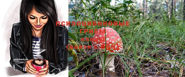 кокс Богородицк