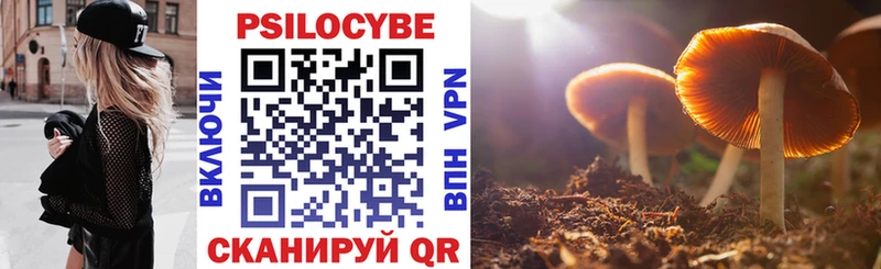 Псилоцибиновые грибы Cubensis Купить где Магадан